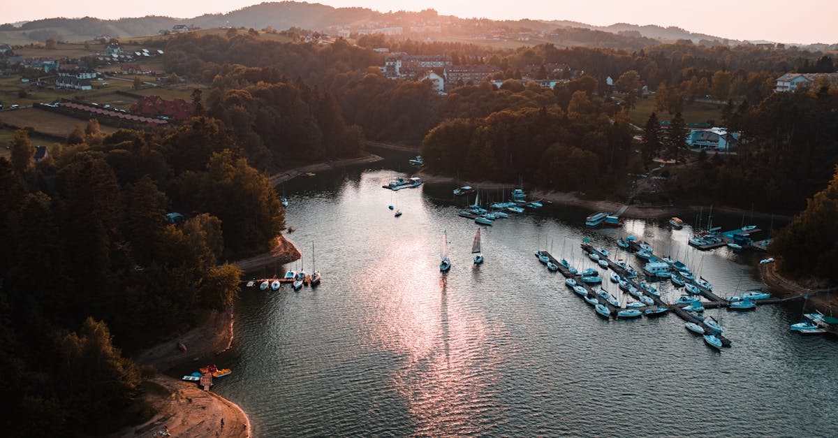 découvrez tout ce qu'il faut savoir sur l'enregistrement des bateaux de loisirs. apprenez les étapes, les exigences et les avantages d'une inscription conforme pour profiter pleinement de votre expérience nautique en toute légalité.