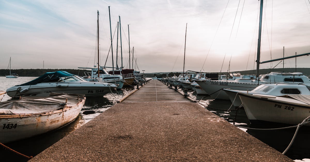 découvrez tout ce qu'il faut savoir sur l'enregistrement des bateaux de plaisance en france. apprenez les démarches, les réglementations et les avantages de l'immatriculation pour naviguer en toute légalité et profiter pleinement de vos sorties en mer.