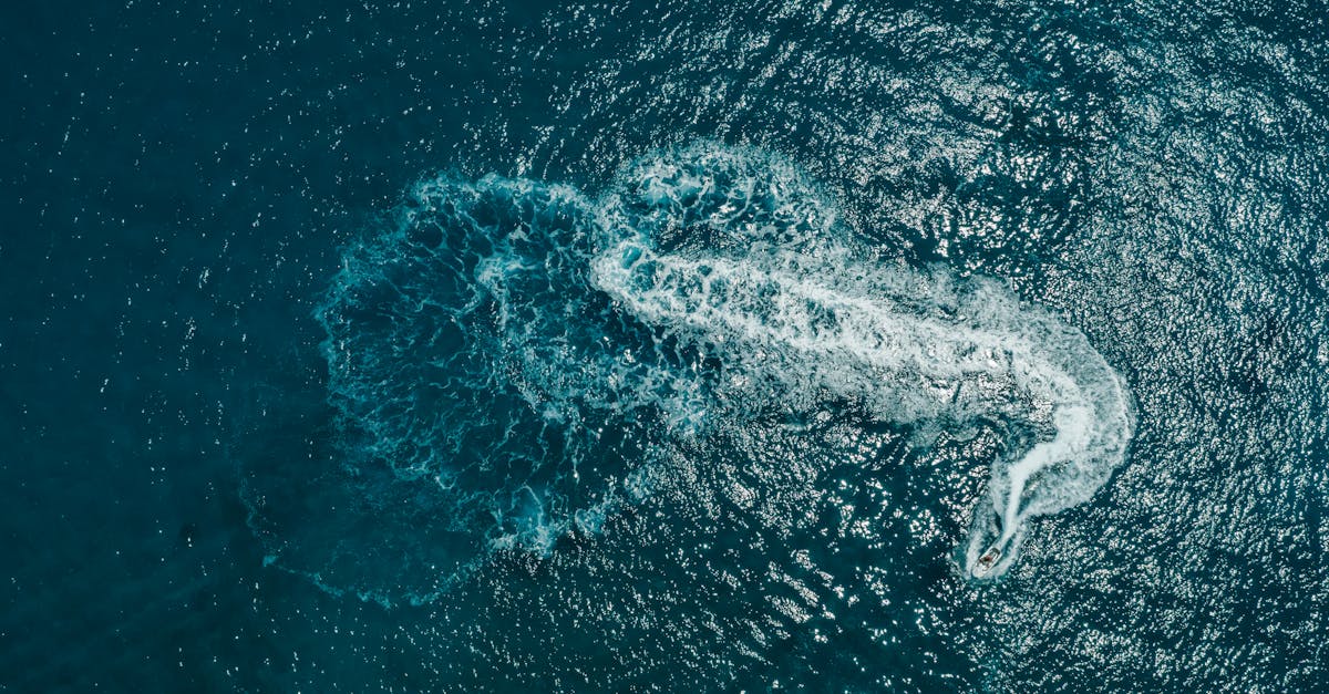 tout savoir sur l'enregistrement des bateaux de loisirs : démarches, avantages et réglementations. assurez-vous que votre embarcation soit en règle pour profiter pleinement de vos sorties en mer.