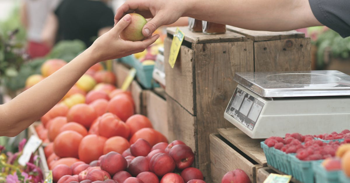 découvrez notre entreprise locale, engagée à fournir des produits et services de qualité tout en soutenant notre communauté. promouvoir l'économie locale n'a jamais été aussi facile !